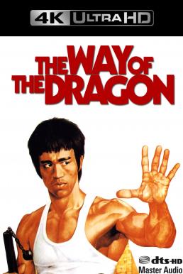 The Way of the Dragon (1972) ไอ้หนุ่มซินตึ๊ง บุกกรุงโรม