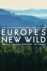 Europe’s New Wild