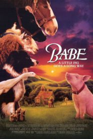 Babe 1: (1995) เบ๊บ หมูน้อยหัวใจเทวดา