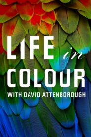 Attenborough’s Life in Colour