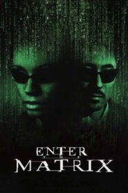 Making ‘Enter the Matrix’