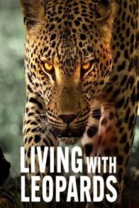 Living with Leopards อยู่กับเสือดาว (2024) NETFLIX บรรยายไทย