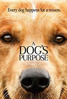 A DOG’S PURPOSE (2017) หมา เป้าหมาย และเด็กชายของผม